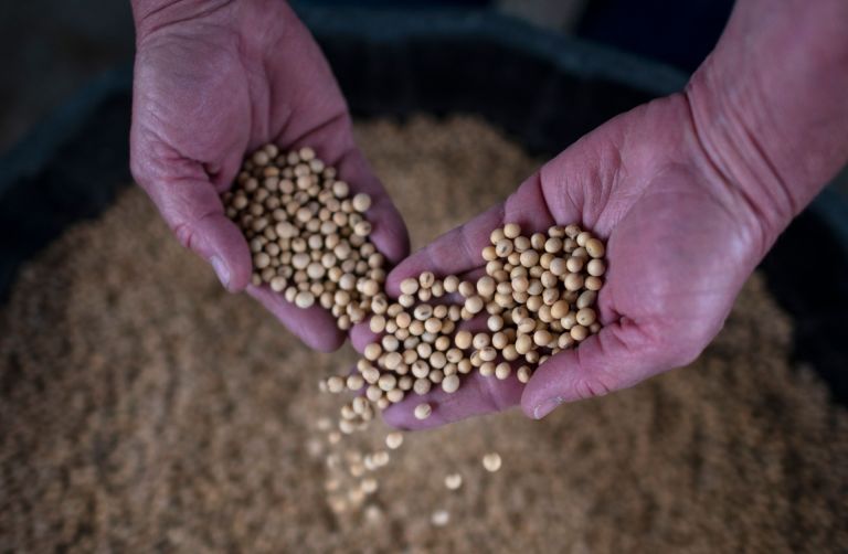 Propelled by U.S. Trade Talks, China Charts a Course to Soybean Security