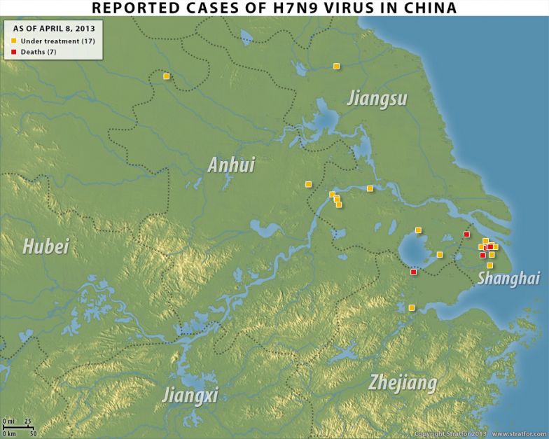 A New Bird Flu in China